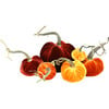 Exclusive Pumpkin Trio, Fall Sunset - Accents - 3