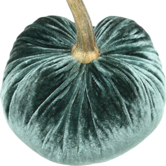 Velvet Pumpkin, Ocean