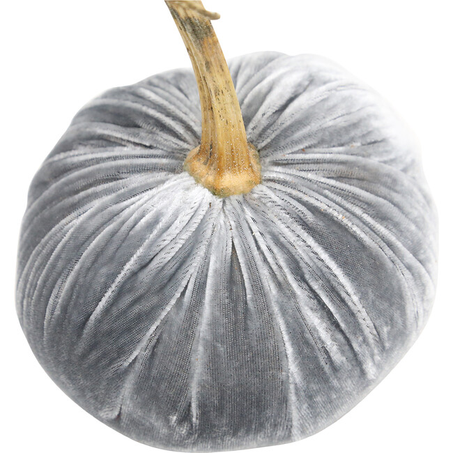 Velvet Pumpkin, Grey