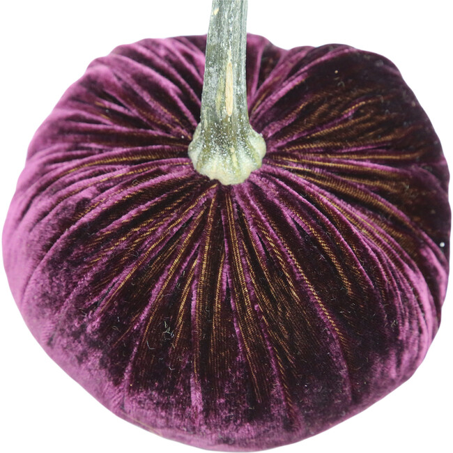 Velvet Pumpkin, Eggplant