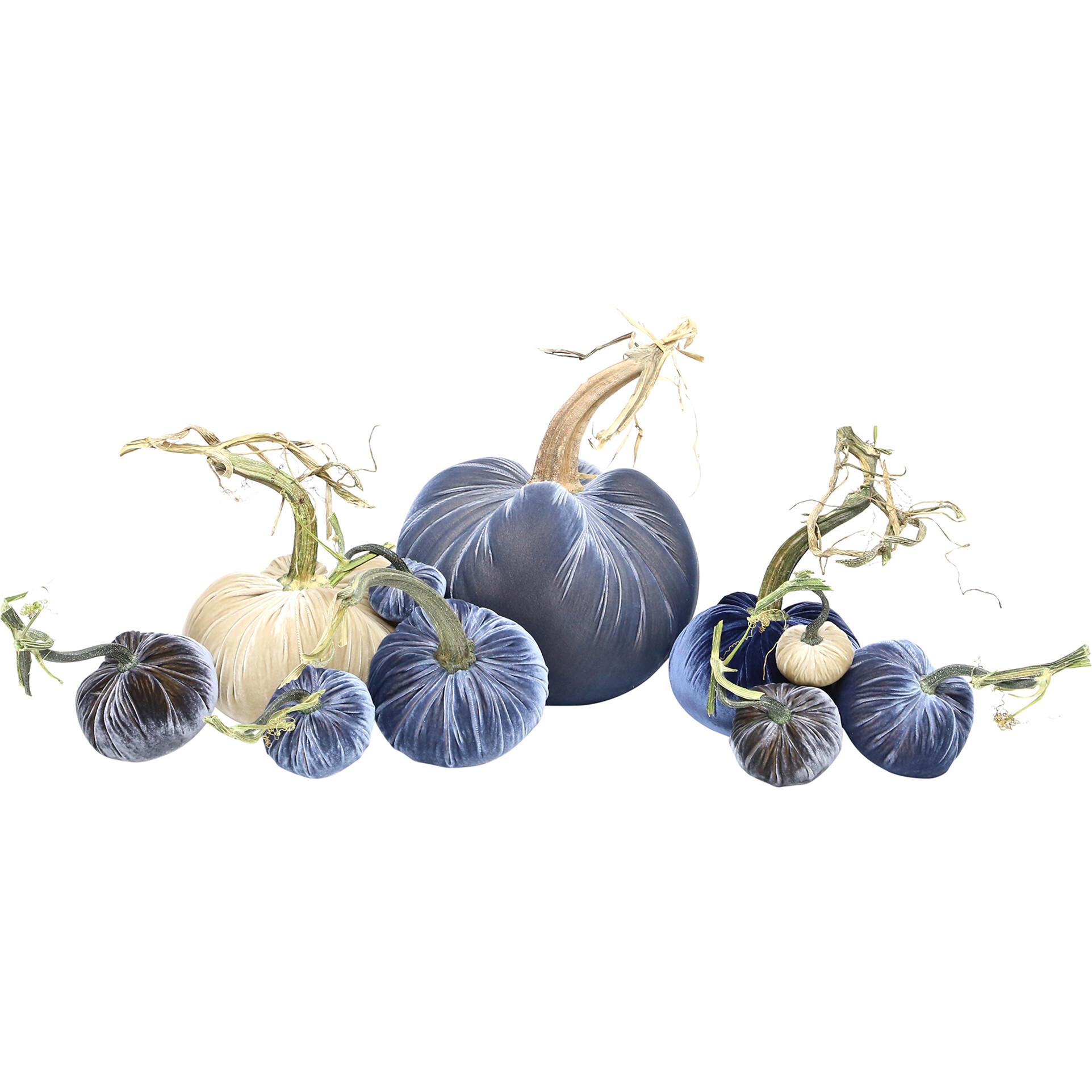 Exclusive Full Harvest Set, Blue - Accents - 1
