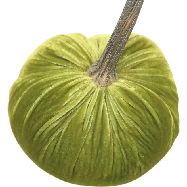 Velvet Pumpkin, Chartruese