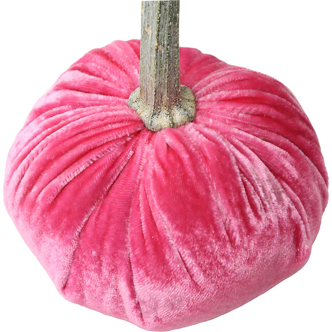 Velvet Pumpkin, Bubblegum