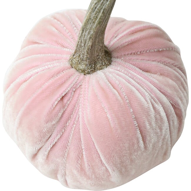 Velvet Pumpkin, Blush