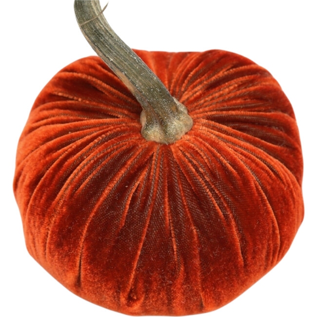 Velvet Pumpkin, Apricot - Accents - 1