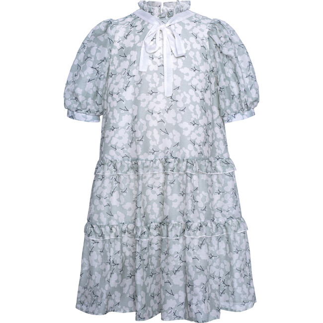 Chiffon Maxi Dress Snowberry, Mint - Dresses - 1