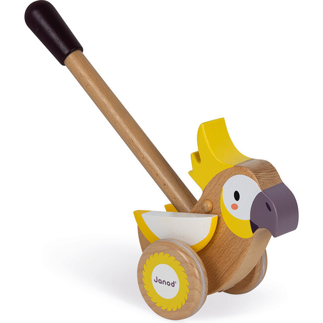 Push-Along Cockatoo - Push & Pull - 2