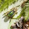 Enamel Beetle Hanging Ornament, Bright - Ornaments - 2