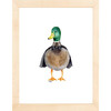 Fancy Animals Print, Mallard Duck - Art - 3