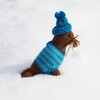 Set of 6 Winter Walrus Holiday Ornaments, Brown - Ornaments - 5