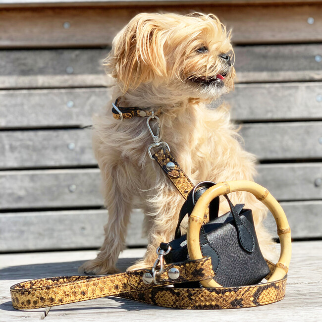 Sasha Leash, Embossed Yellow & Black Leather