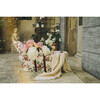 Dream Weaver, La Vie en Rose - Travel Cribs - 4