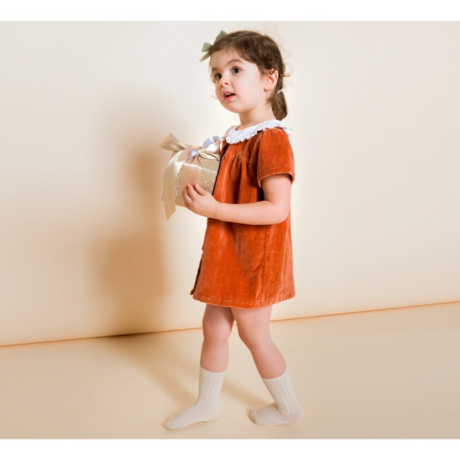 Fae Dress, Rust Velvet - Dresses - 2