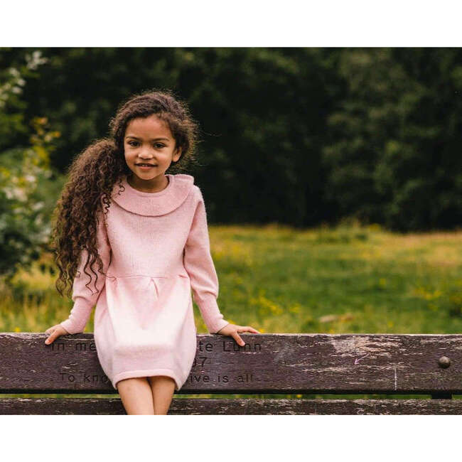 Round Collar Dress, Blush Pink - Dresses - 4