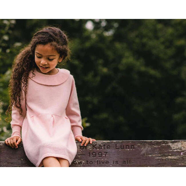 Round Collar Dress, Blush Pink - Dresses - 5