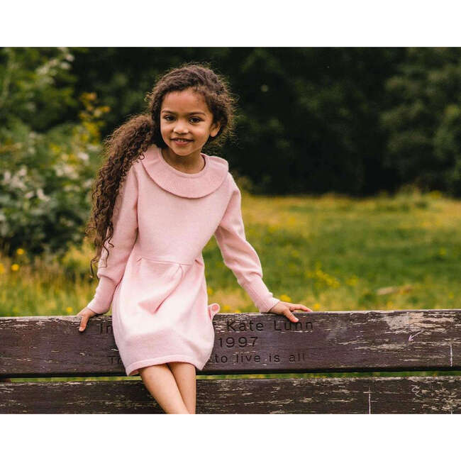 Round Collar Dress, Blush Pink - Dresses - 6