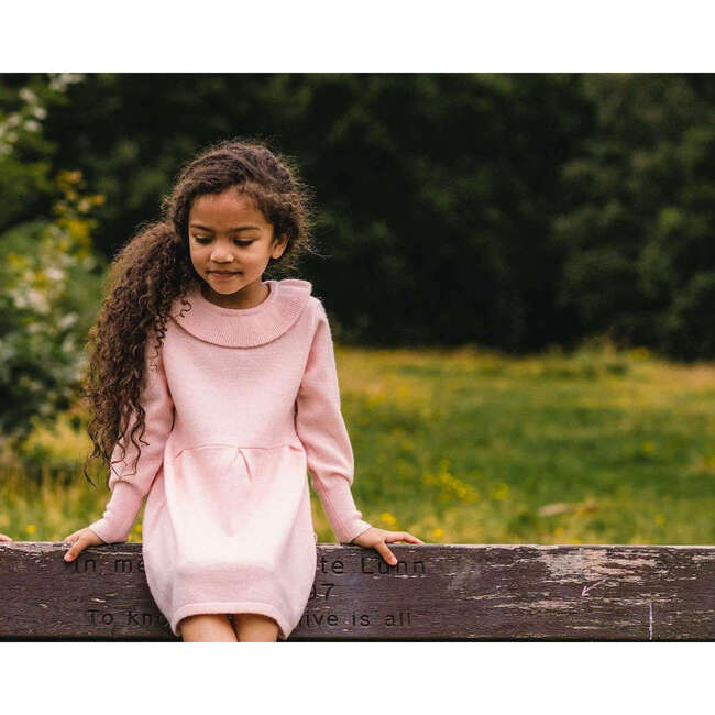 Round Collar Dress, Blush Pink - Dresses - 7