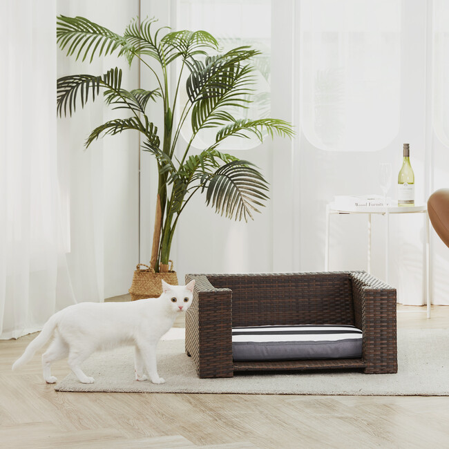 Wicker Pet Rattan Bed with Cushions