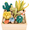 Succulent Garden - Plush - 1 - thumbnail