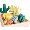 Succulent Garden - Plush - 3