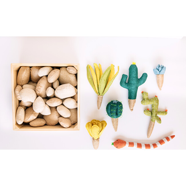 Succulent Garden - Plush - 4