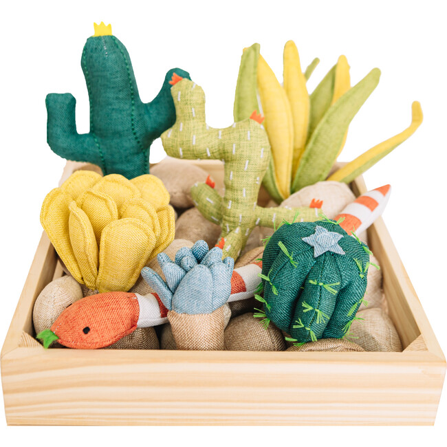 Succulent Garden - Plush - 5