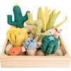 Succulent Garden - Plush - 5