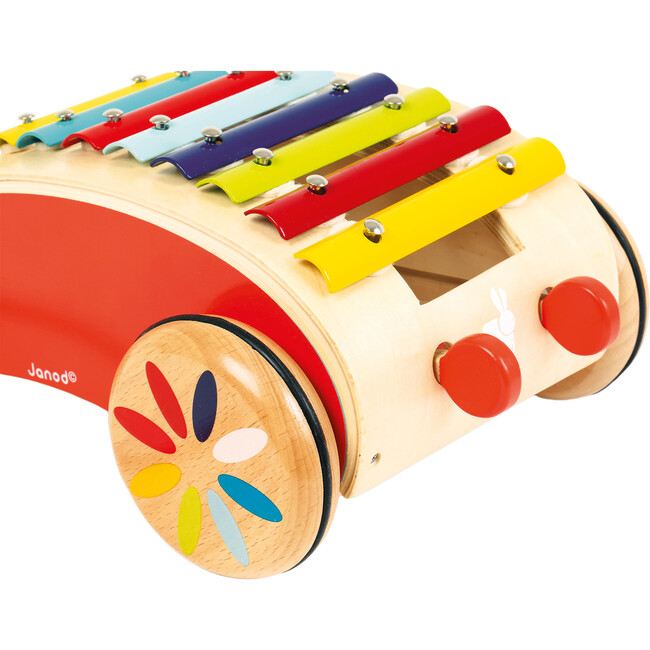 Xylo Roller - Push & Pull - 2