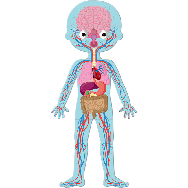 Human Body Educational Puzzle - Puzzles - 2