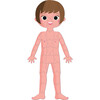 Human Body Educational Puzzle - Puzzles - 5
