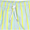 Swim Shorts, Summer Stripes - Shorts - 4