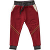 Two-Tone Sweatpants, Burdundy - Sweatpants - 1 - thumbnail