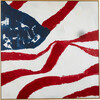 Flag on Canvas by Nathan Turner Framed Art, Red/Blue - Art - 1 - thumbnail