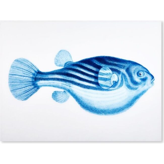 Blowfish Acrylic Art, Blue - Art - 1 - zoom