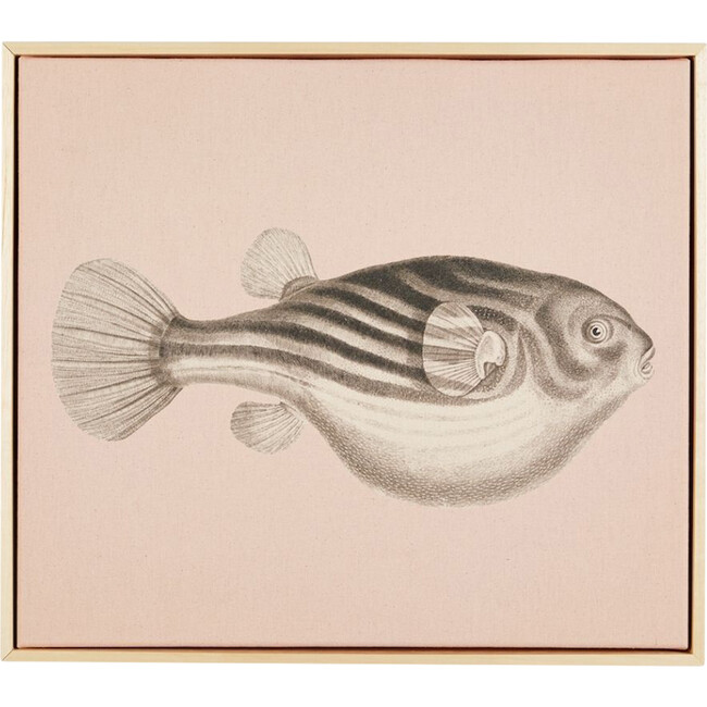Blowfish Canvas Framed Art, Natural