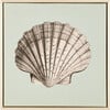 Scallop Shell Canvas Framed Art, Blue - Art - 1 - thumbnail