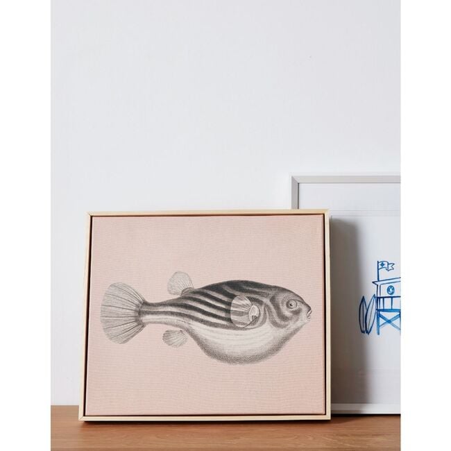 Blowfish Canvas Framed Art, Natural - Art - 2