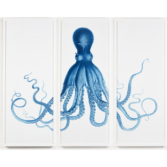 Pacific Octopus Framed Art, White - Art - 1