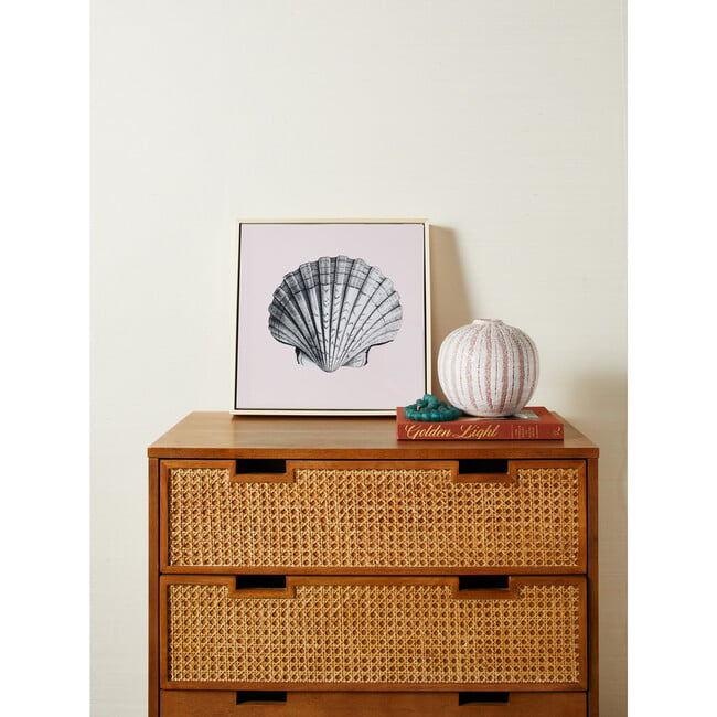 Scallop Shell Canvas Framed Art, Pink - Art - 2