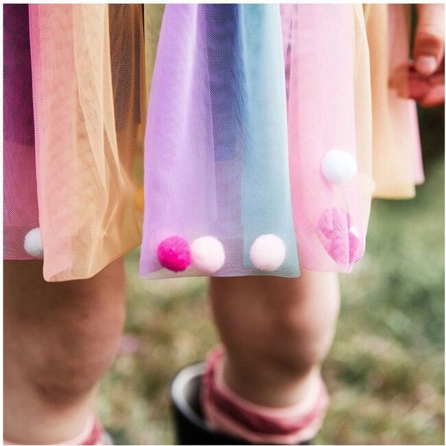 Rainbow Tulle Skirt, Multi