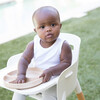 Wood Wonder Plate, Tan - Other Accessories - 3