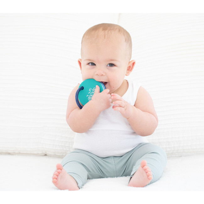 Born to Ride Teething Flashcards, Multi - Other Accessories - 2