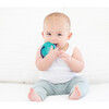 Born to Ride Teething Flashcards, Multi - Other Accessories - 2
