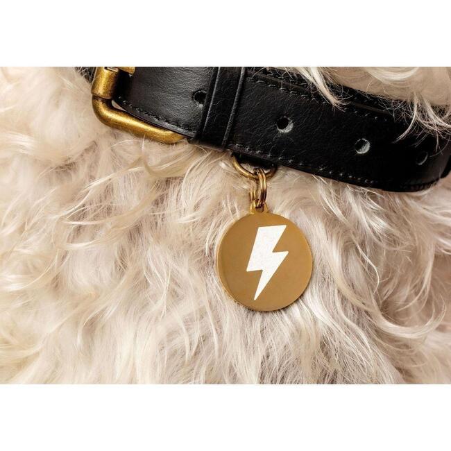 Lightning Bolt Pet ID Tag, Gold and White