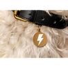 Lightning Bolt Pet ID Tag, Gold and White - Pet ID Tags - 2