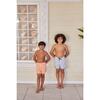 Boys Boca Blue Stripe Boardie - Swim Trunks - 2