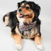 Neckwear, Fall Floral - Dog Bandanas & Neckties - 2