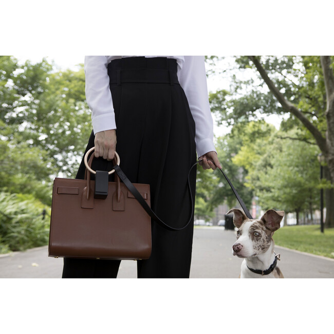Lumi Leash, Black and Gold - Collars, Leashes & Harnesses - 2