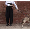 Lumi Leash, Black and Gold - Collars, Leashes & Harnesses - 4
