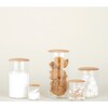 Simple Glass Storage Container, Mini - Storage - 2